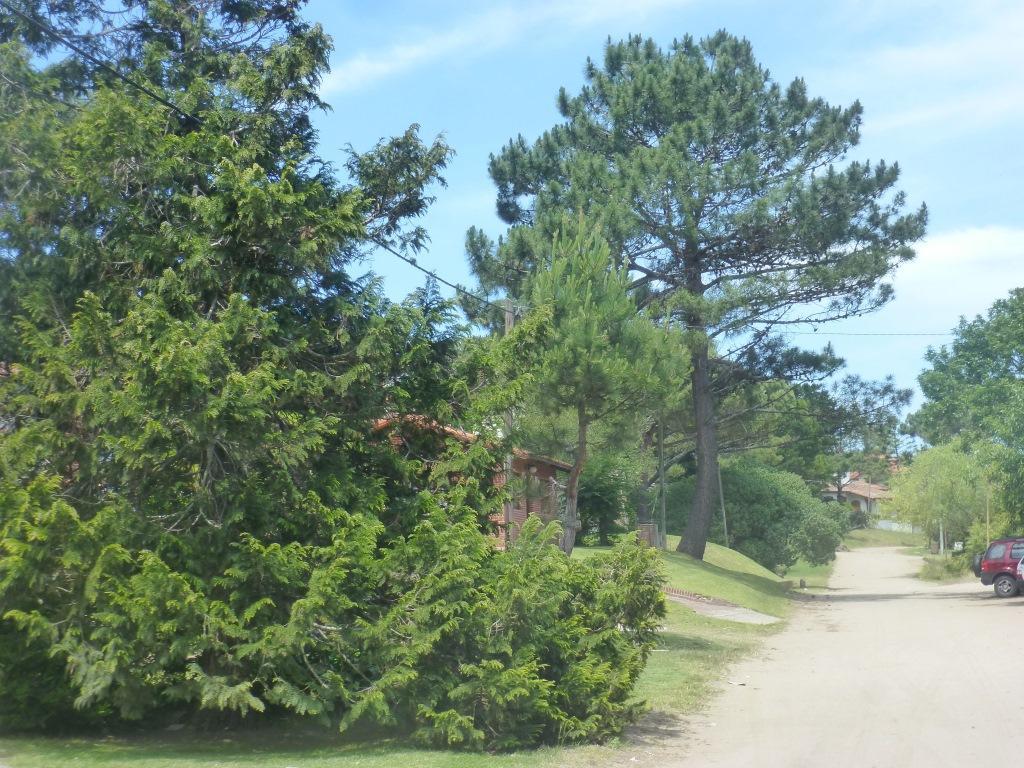 Casas De Casa de Férias Pinamar